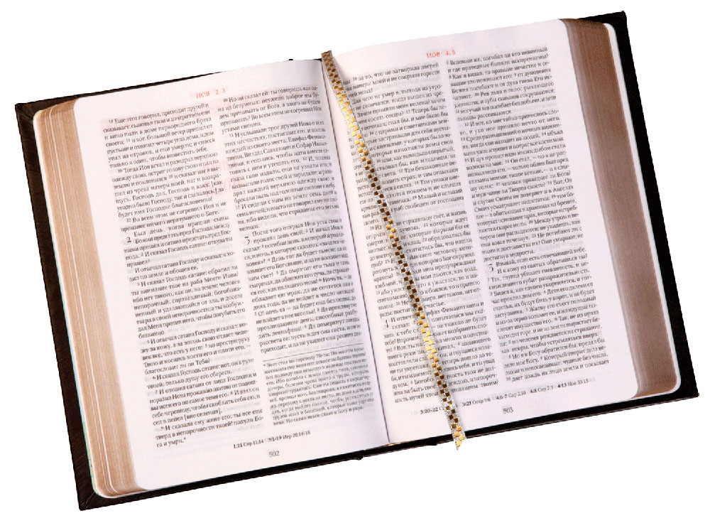 Молодёжь храма Покрова Пресвятой Богородицы в Братцеве открывает “Год с Библией”
