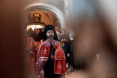 IMG_8124