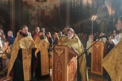 IMG_20260920_044428_076