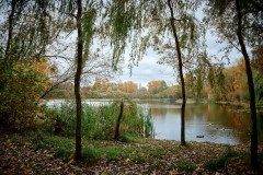 image-11-10-26-11-05-10